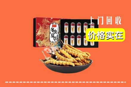 天津市红桥回收冬虫夏草
